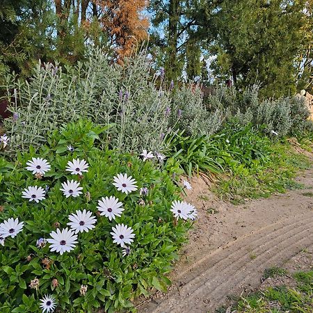 Gowrie Agapanthus Lejlighed Singleton Eksteriør billede